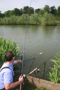 Big Crucian Carp Fishing