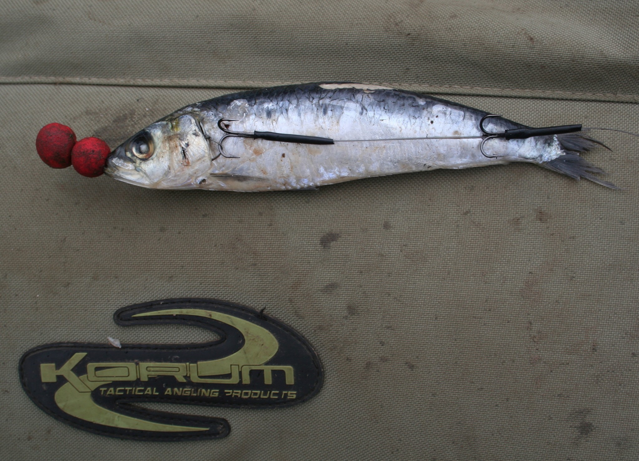 Pike Fishing Legered Dead Baits. » Lee Swords Fishing - Lee