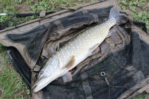 River Wye Pike